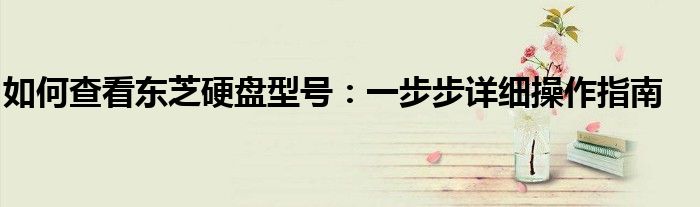 如何查看东芝硬盘型号：一步步详细操作指南