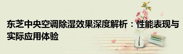 东芝中央空调除湿效果深度解析：性能表现与实际应用体验
