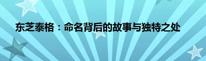 东芝泰格：命名背后的故事与独特之处