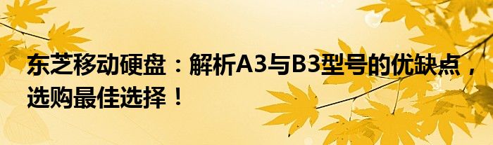 东芝移动硬盘：解析A3与B3型号的优缺点，选购最佳选择！