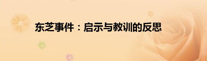 东芝事件：启示与教训的反思