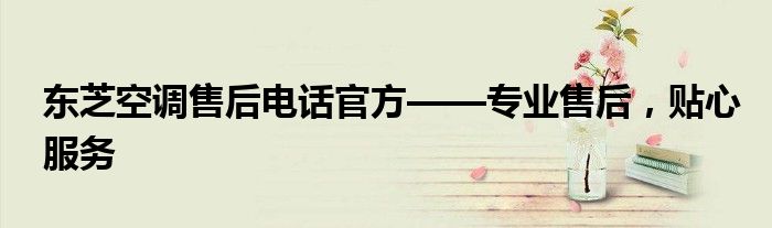 东芝空调售后电话官方——专业售后，贴心服务