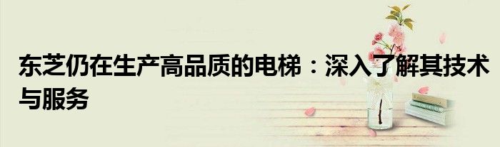 东芝仍在生产高品质的电梯：深入了解其技术与服务