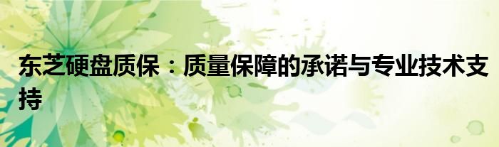 东芝硬盘质保：质量保障的承诺与专业技术支持