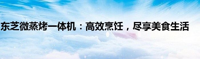 东芝微蒸烤一体机：高效烹饪，尽享美食生活