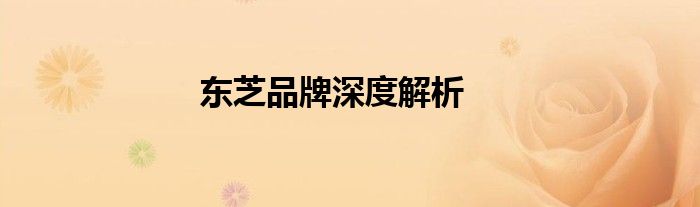 东芝品牌深度解析