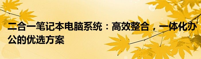 二合一笔记本电脑系统：高效整合，一体化办公的优选方案