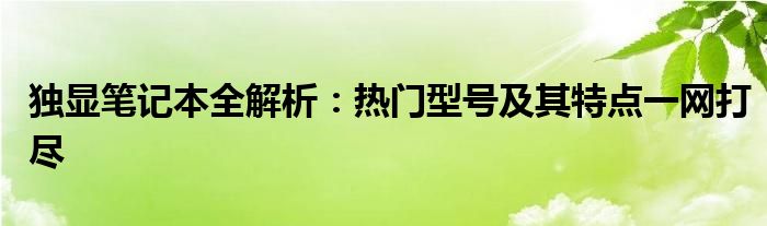 独显笔记本全解析：热门型号及其特点一网打尽