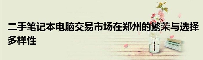 二手笔记本电脑交易市场在郑州的繁荣与选择多样性