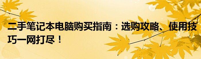二手笔记本电脑购买指南：选购攻略、使用技巧一网打尽！