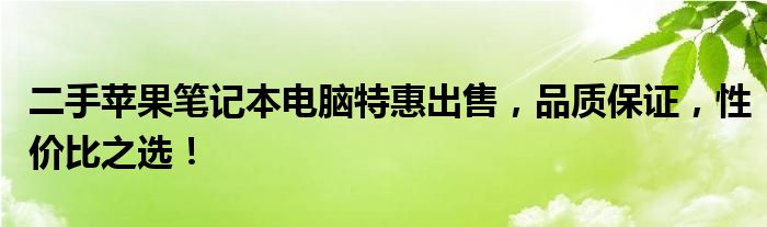 二手苹果笔记本电脑特惠出售，品质保证，性价比之选！