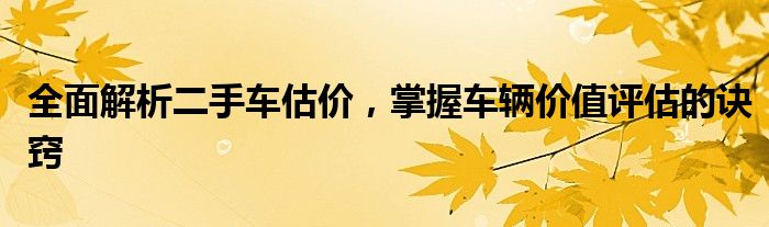 全面解析二手车估价，掌握车辆价值评估的诀窍