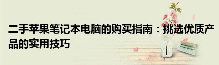 二手苹果笔记本电脑的购买指南：挑选优质产品的实用技巧