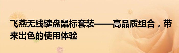 飞燕无线键盘鼠标套装——高品质组合，带来出色的使用体验