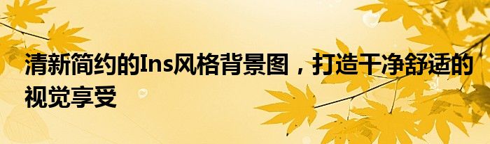 清新简约的Ins风格背景图，打造干净舒适的视觉享受
