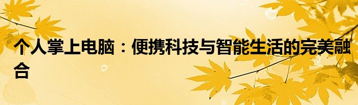 个人掌上电脑：便携科技与智能生活的完美融合