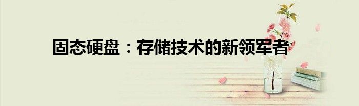 固态硬盘：存储技术的新领军者