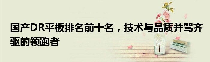 国产DR平板排名前十名，技术与品质并驾齐驱的领跑者