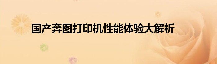 国产奔图打印机性能体验大解析
