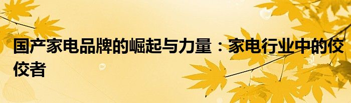 国产家电品牌的崛起与力量：家电行业中的佼佼者