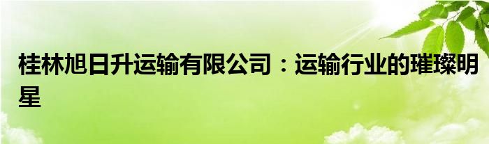 桂林旭日升运输有限公司：运输行业的璀璨明星