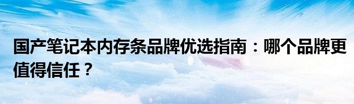 国产笔记本内存条品牌优选指南：哪个品牌更值得信任？
