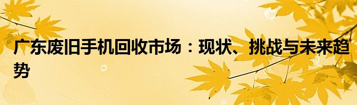 广东废旧手机回收市场：现状、挑战与未来趋势