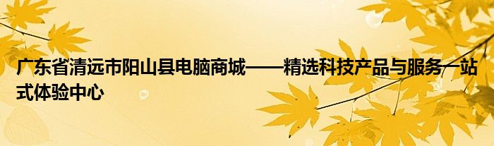 广东省清远市阳山县电脑商城——精选科技产品与服务一站式体验中心