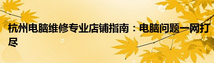 杭州电脑维修专业店铺指南：电脑问题一网打尽