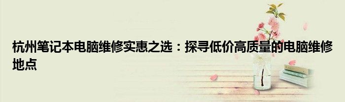 杭州笔记本电脑维修实惠之选：探寻低价高质量的电脑维修地点