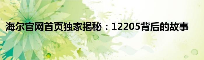 海尔官网首页独家揭秘：12205背后的故事