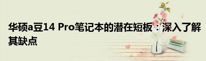 华硕a豆14 Pro笔记本的潜在短板：深入了解其缺点