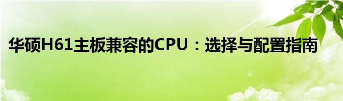 华硕H61主板兼容的CPU：选择与配置指南
