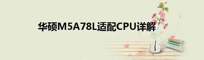 华硕M5A78L适配CPU详解