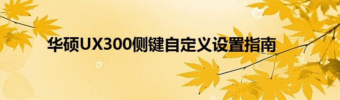 华硕UX300侧键自定义设置指南