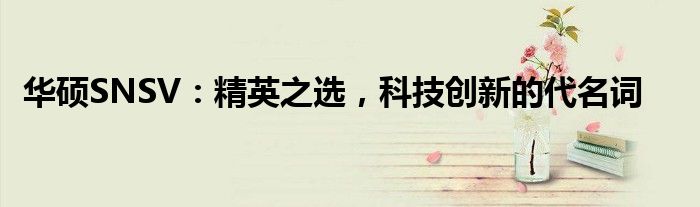 华硕SNSV：精英之选，科技创新的代名词