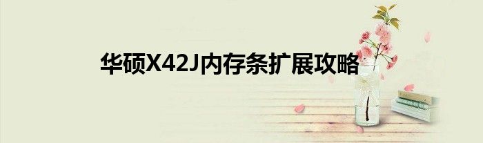 华硕X42J内存条扩展攻略