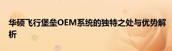 华硕飞行堡垒OEM系统的独特之处与优势解析