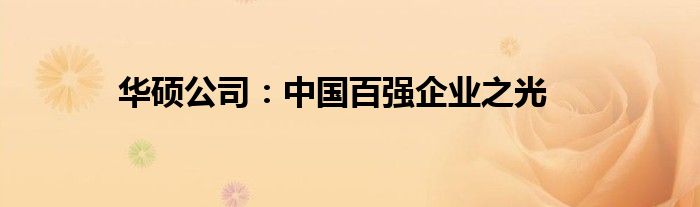 华硕公司：中国百强企业之光