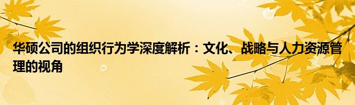 华硕公司的组织行为学深度解析：文化、战略与人力资源管理的视角