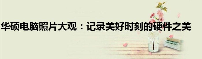 华硕电脑照片大观：记录美好时刻的硬件之美
