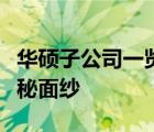 华硕子公司一览表：揭开华硕多元化布局的神秘面纱